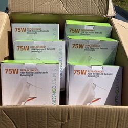 Replacement Lights