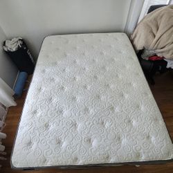 Lumina Celebrity Queen Mattress Bed