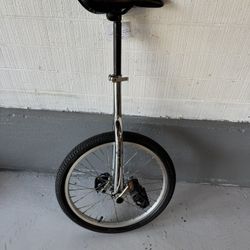Unicycle