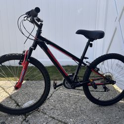 24 Inch Mountain Bike “Nishiki Pueblo”