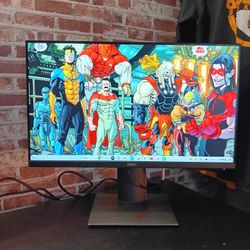 Dell 22" HD Monitor (P2217H)