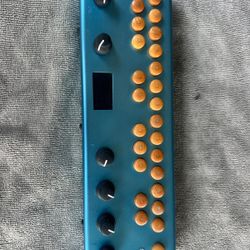 CRITTER AND GUITARI  ORGANELLI SYNTHESIZER No 01290
