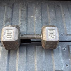 40 Lbs Metal Hex Dumbbell (single)