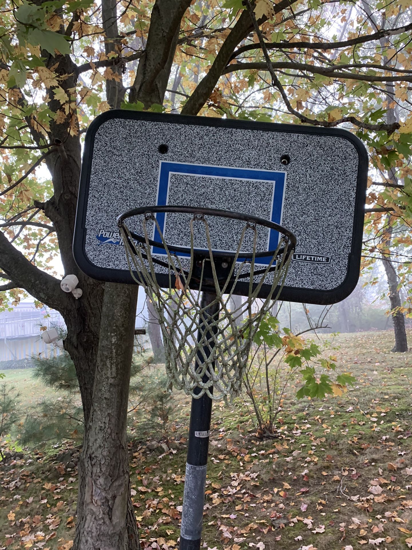 Free Lifetime adjustable basketball hoop. Buyer must safely disassemble and remove.