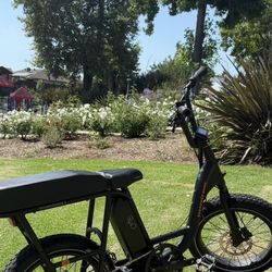 Radrunner 2 (7 Miles Like New)