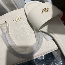 Coach Purse w/ Slides