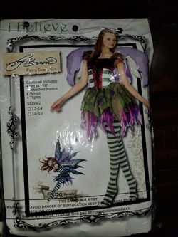 Fairy costume