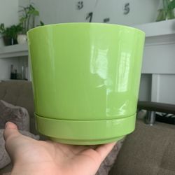 Green Flower / Plant Pot 