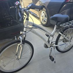 Womens Adult Bicycle