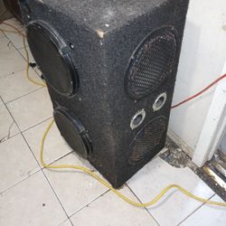 Bass Speaker 