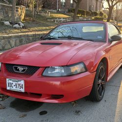 2000 Ford Mustang