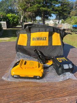 Dewalt 20v Battery and Charger and Bag