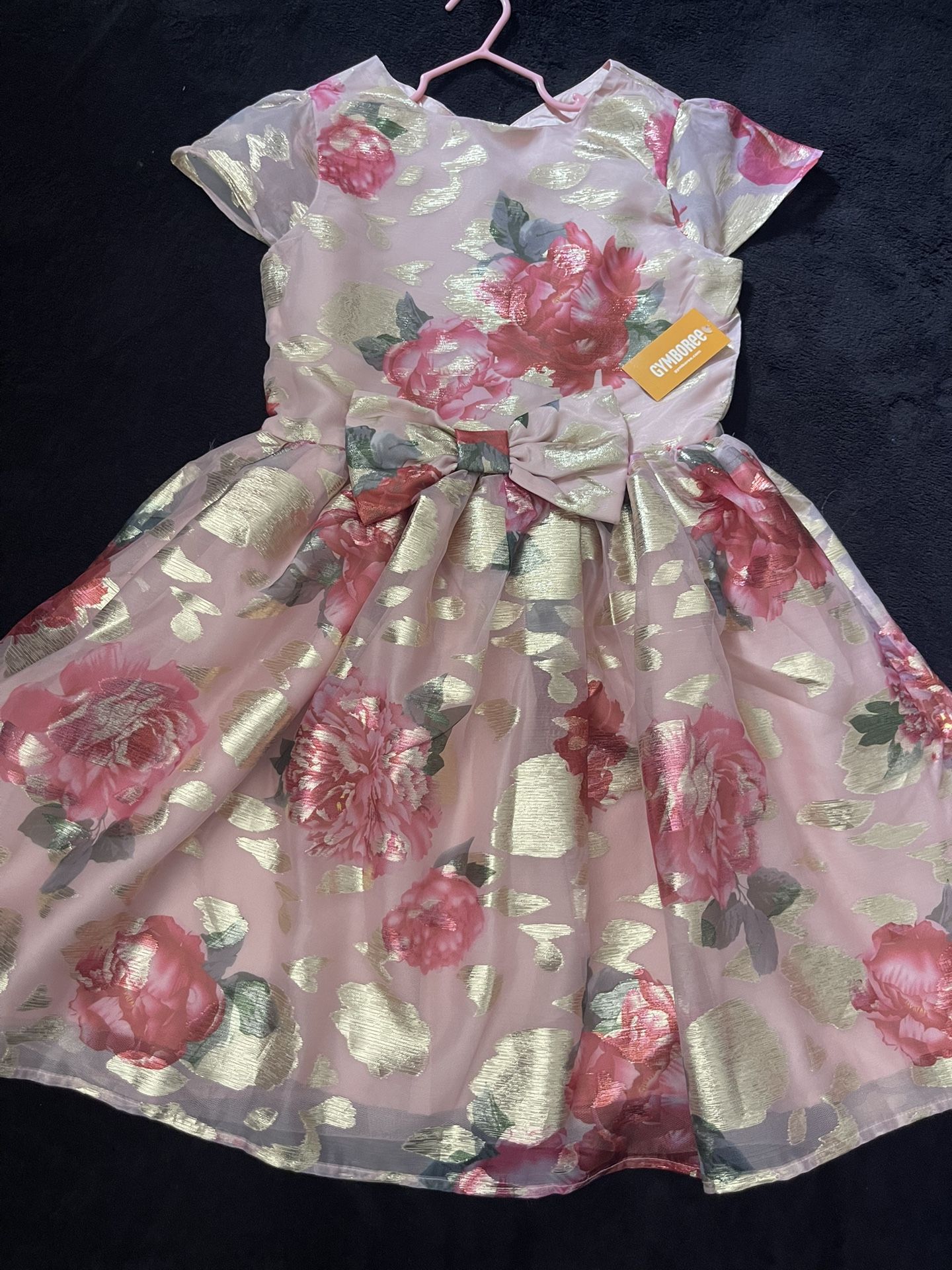 Gymboree Girl Dress