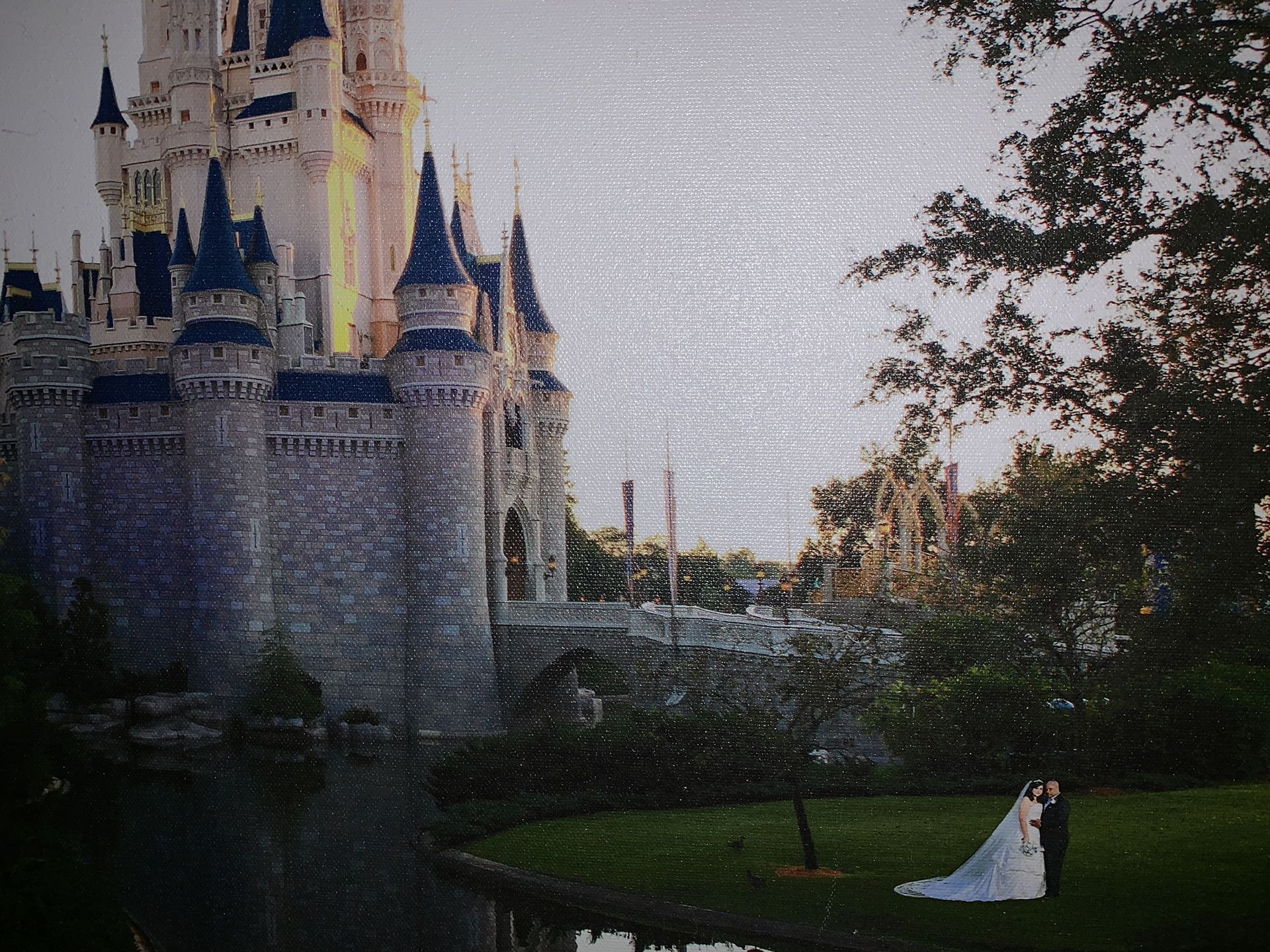 Wedding Gown worn at our Disney Wedding for size 14