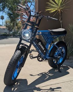 Hiqis C200 Fat Tire Electric Bike