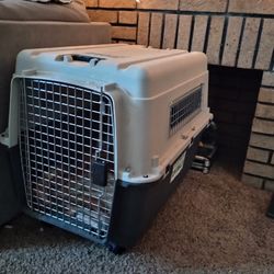 Dog Kennel On Wheels.