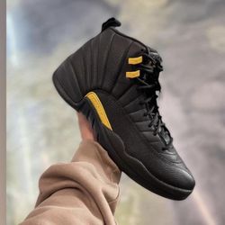 Jordan 12s 