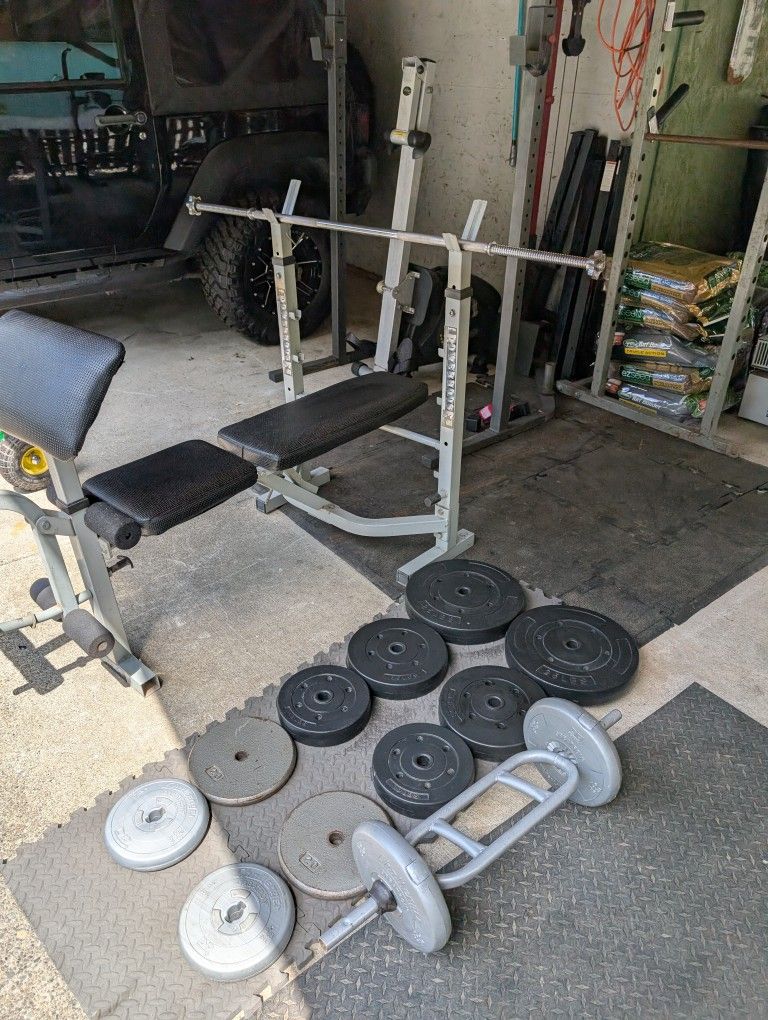 Weight Bench & Weights!