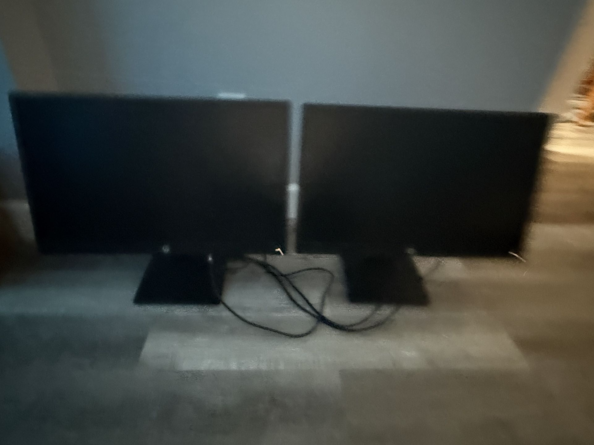HP Dual Monitors 24” DP Port