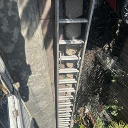 40 ft ladder 