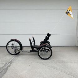 Mobo Adult tricycle