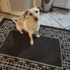 Heidi