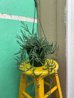 Fish hooks