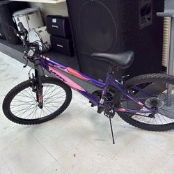 Huffy Stone Mountain