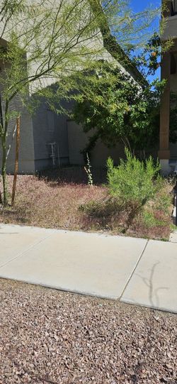 Maintenance Service And Cleaning 