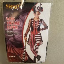 Teen Clown Hallowen Costume