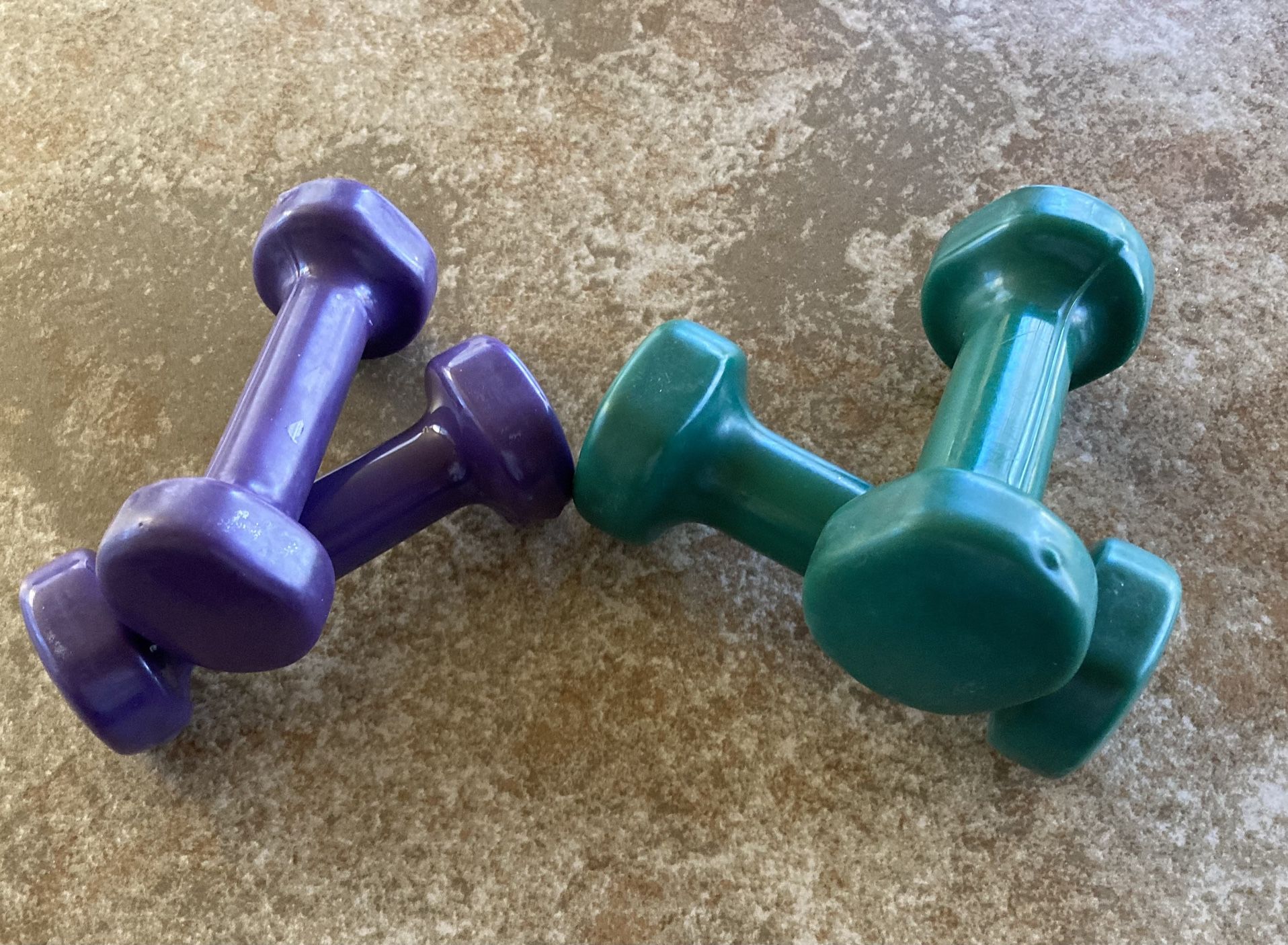2 & 3 LBS. RUBBER COATED DUMBBELLS 