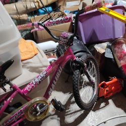 Childs Bike