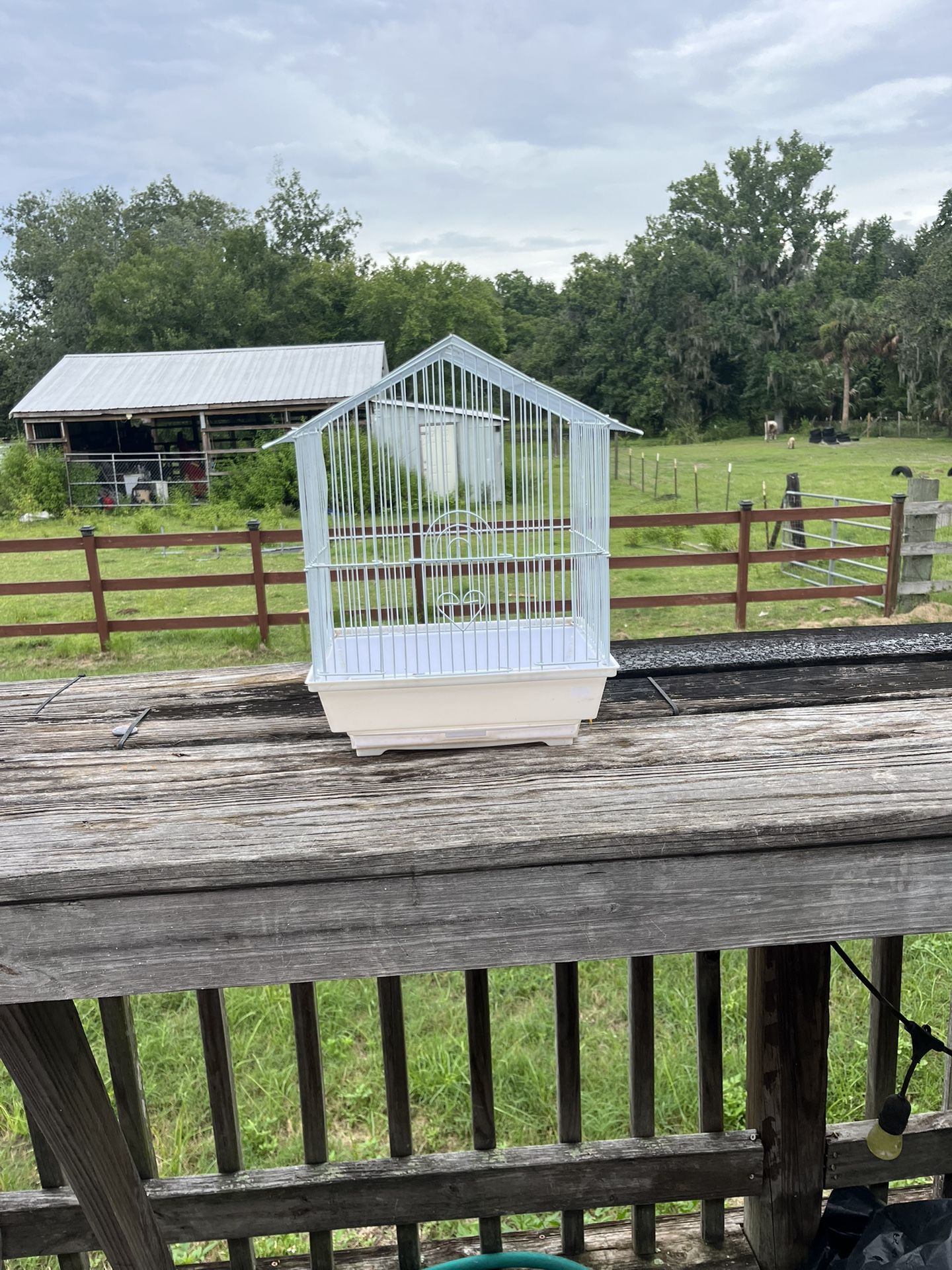 Bird Carry Cage