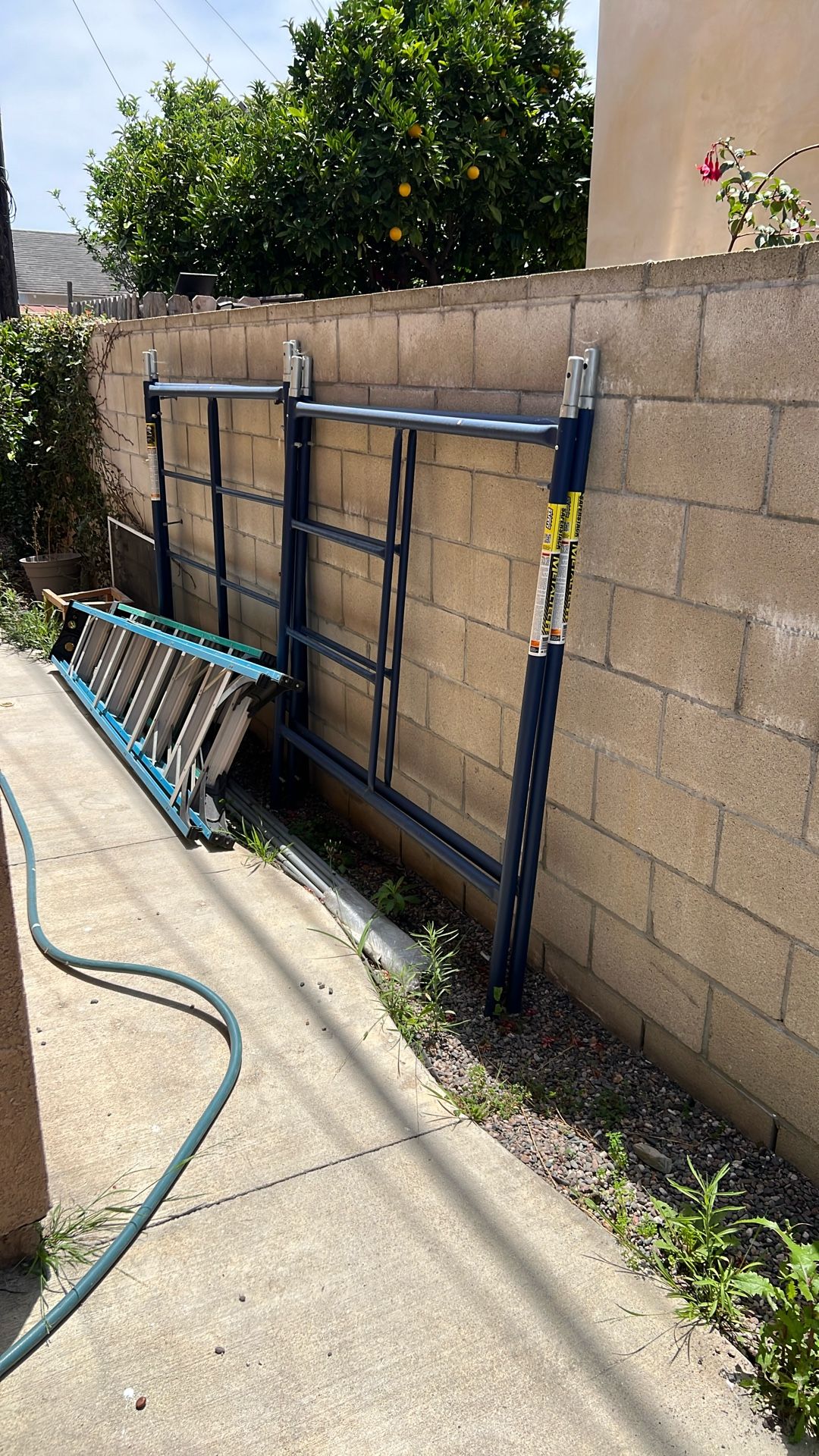 New scafolding