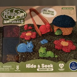 Educational Insights Playfoam Naturals Hide & Seek Sensory Set