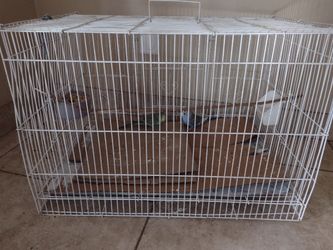 Cage For Sale 