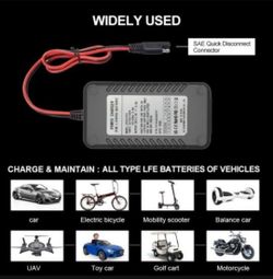 Universal Smart Battery Charger 