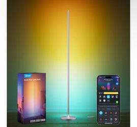 Govee  RGBIC floor lamp