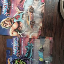Hot Wheels Character Cars Masters Of The Universe He-Man Skeletor Toy Mattel 