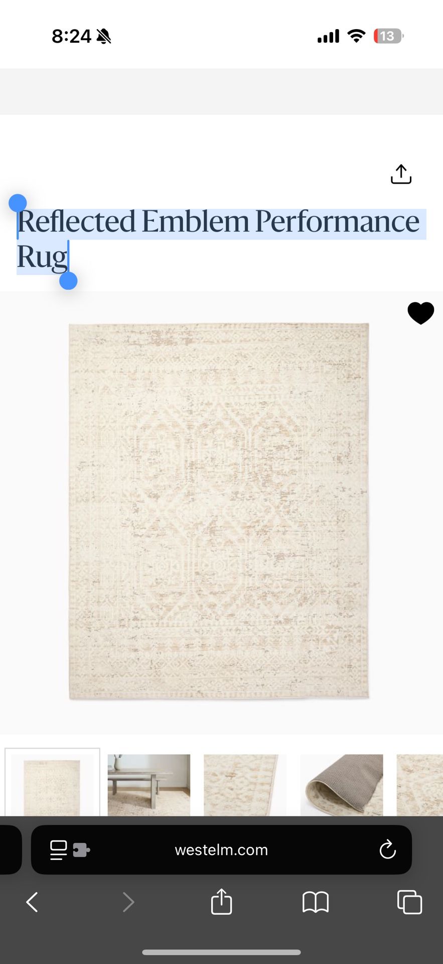 West Elm Reflected Emblem Performance Rug