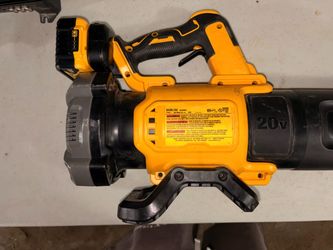 Dewalt 20v max Xr leaf blower