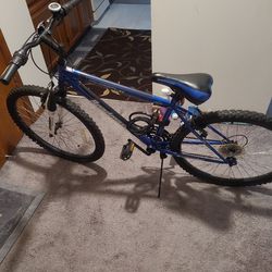 Roadmaster Mountain  Bike