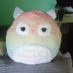 Owl Squishmallow