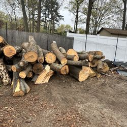 Free Firewood Long Log 10 Yard Free Delivery 