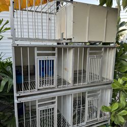 Cajón De 4 huevos Y Trampa 