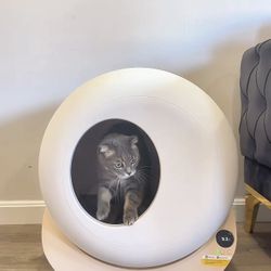Automatic Cat Litter