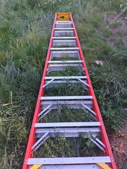 Werner ladder $100