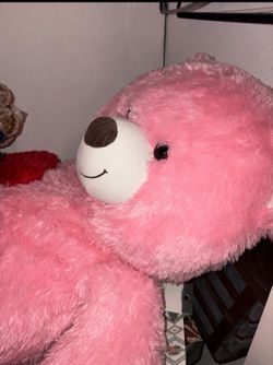 Pink large Teddy bear