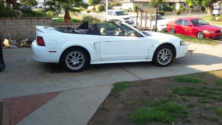 2000 convertable mustang