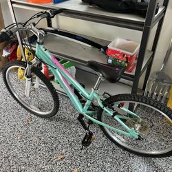 Girls Schwinn 